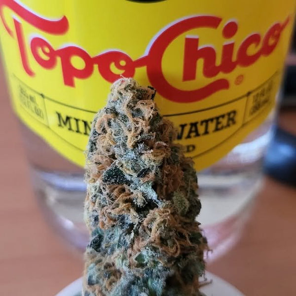 Frosty cannabis bud held up against a Topo Chico bottle